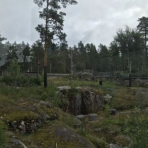 Giant panda outdoor enclosure