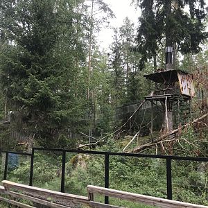 Nepalese red panda enclosure