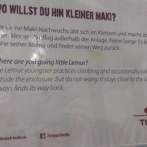 Affenhaus, lemur exhibit sign