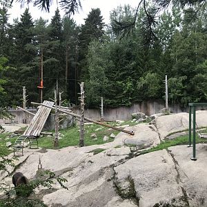Eurasian brown bear enclosure