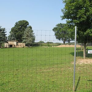 Himalayan Tahr Exhibit