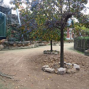 Savanna aviary - Cape buffalo paddock with part of restaurant building on left side and bird area behind it and, 2022-10-29