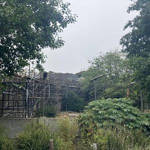 future Jaguar exhibit