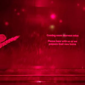 Future Harvest Mouse exhibit signage