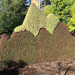 Wildscapes - Summer 2023 Display