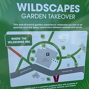 Wildscapes - Summer 2023 Display