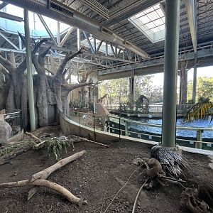 Porcupine/Hippo/Giraffe Exhibits