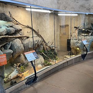 Egyptian Tortoise/Plated Lizard Exhibit