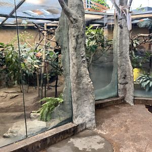 Panther Chameleon/Leopard Tortoise Exhibit