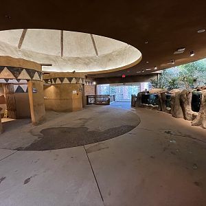 African Rainforest Building