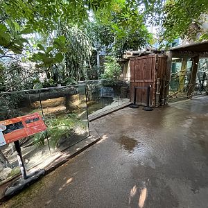 African Dwarf Crocodile Exhibit