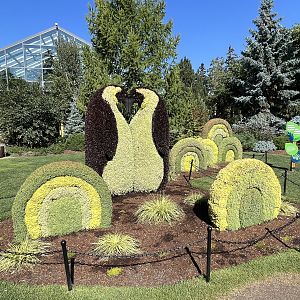 Wildscapes - Summer 2023 Display