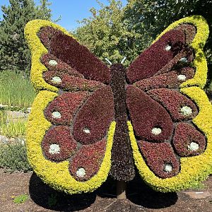 Wildscapes - Summer 2023 Display