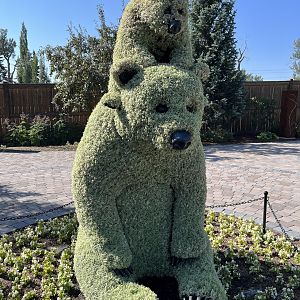 Wildscapes - Summer 2023 Display