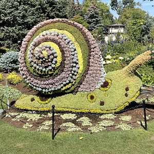 Wildscapes - Summer 2023 Display