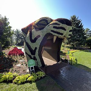 Wildscapes - Summer 2023 Display