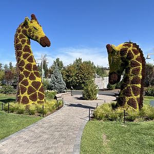 Wildscapes - Summer 2023 Display