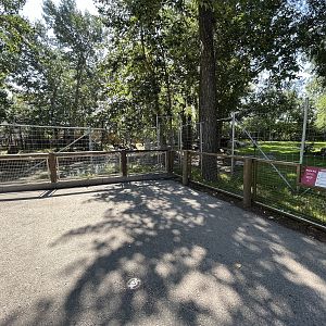 Siberian Musk Deer + Japanese Serow Exhibits
