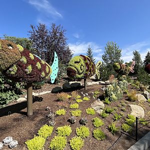 Wildscapes - Summer 2023 Display