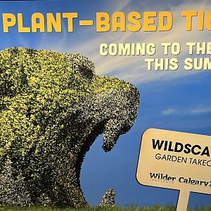 Wildscapes - Summer 2023 Display