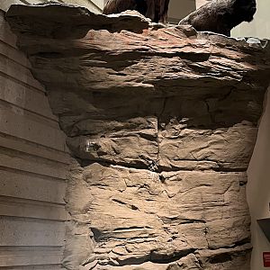 Head Smashed in Buffalo Jump