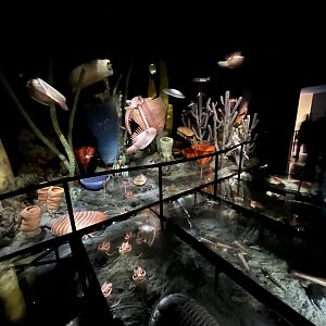 Burgess Shale Passage