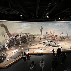 Dinosaur Hall