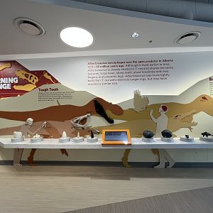 Learning Lounge - New in 2019