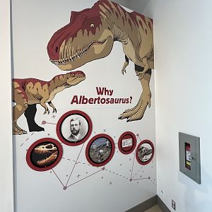 Learning Lounge - New in 2019