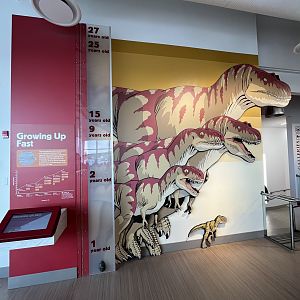 Learning Lounge - New in 2019