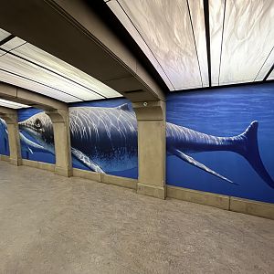 Shonisaurus Mural