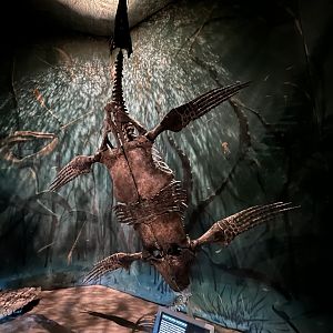 Bearpaw Sea - Short-necked Pleiosaur