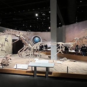 Dinosaur Hall