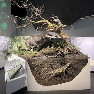 Ancient Alberta Habitats