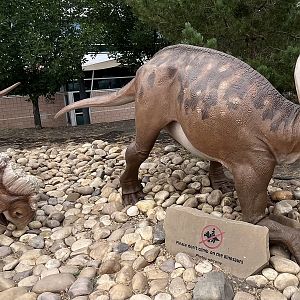 Royal Tyrrell Museum - Exterior