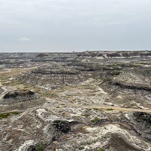 Horseshoe Canyon - near Drumheller