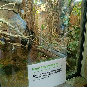 Empty tank in Komodo Dragon House?