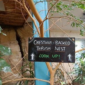 Signage example in Blackburn Pavilion