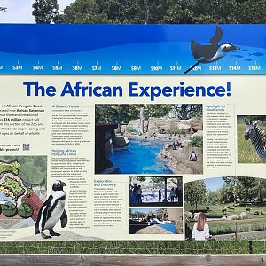 Coming Soon: The African Experience