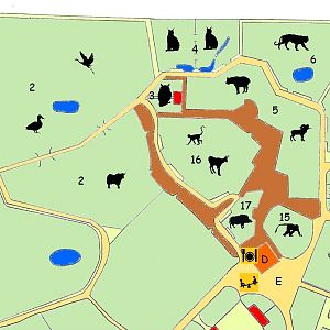 North Asian Zone - 2023 version