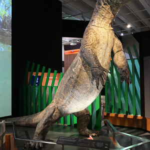 Varanus priscus (formerly Megalania prisca) model