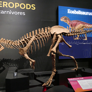 Eoabelisaurus mefi - Dinosaurs of Patagonia