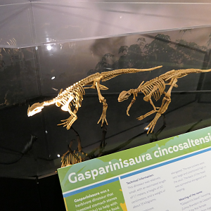 Gasparinisaura cincosaltensis - Dinosaurs of Patagonia