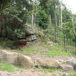 Blackbutt 2011 - Wallaby exhibit