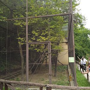 Squirrel monkey exhibit