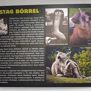 Signage about the zoo's history