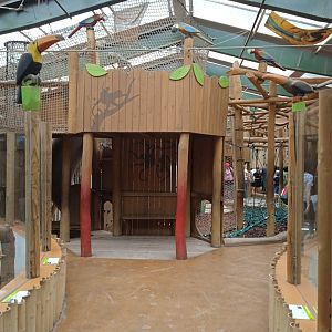 Playhouse + terrarium (former monkey house)