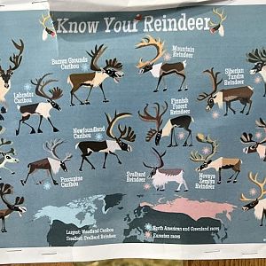 Information Sign: Alaska State Fair