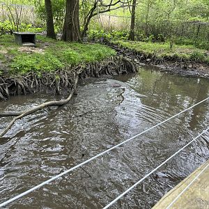 North American river otter enclosure