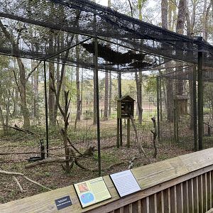 Great horned owl habitat